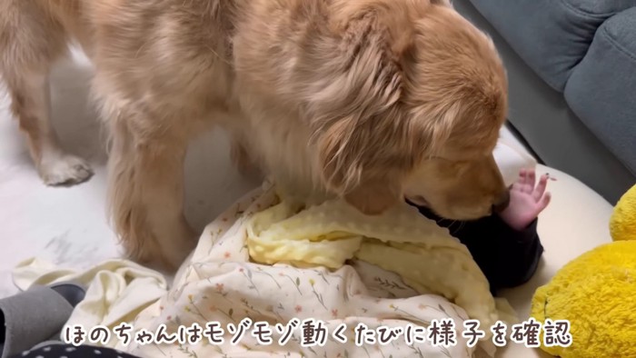 母のような様子にほっこり