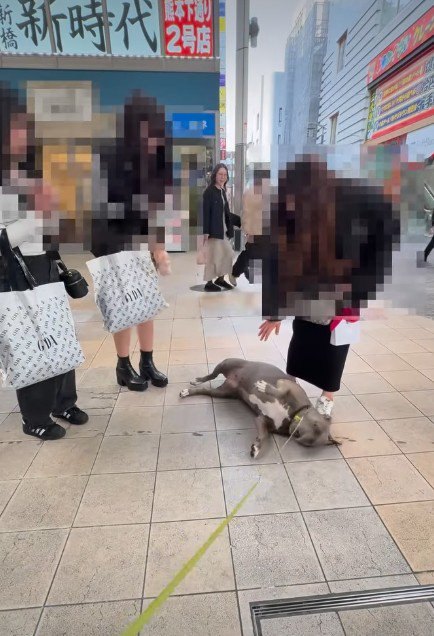 仰向けになった♡