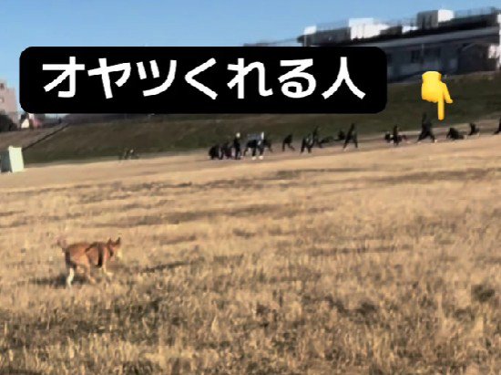 「いそげいそげ～」