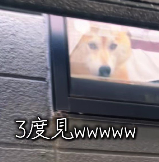 「やっぱりママだ！！」