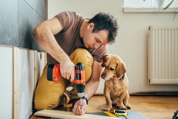 工具を持つ男性、手元を見つめる犬