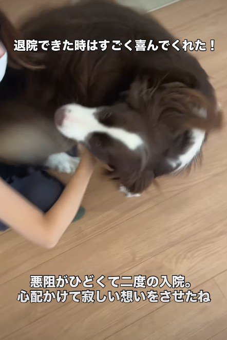 ママとの再会も大歓喜