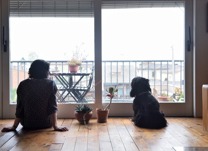 人と犬の後ろ姿