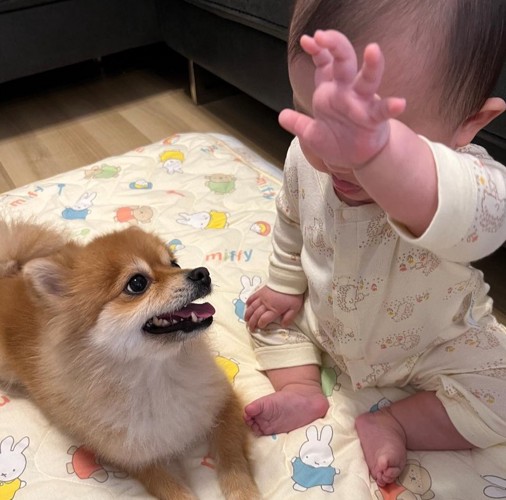 出会った日から大好き！