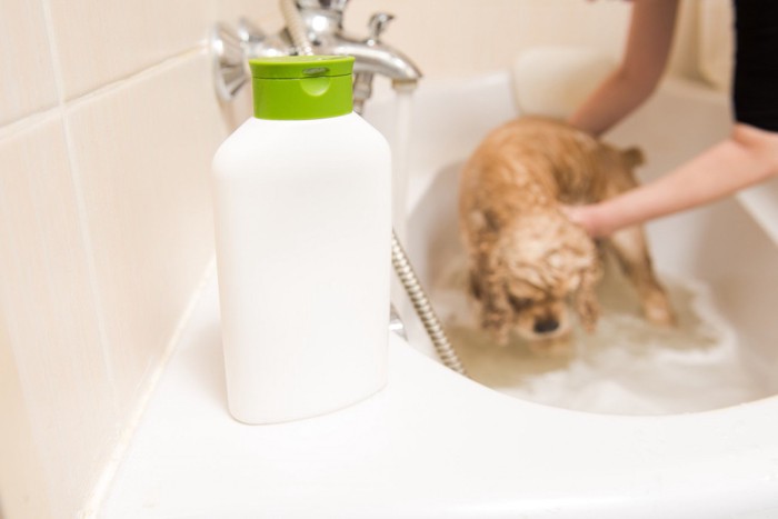 犬を洗っているバスタブの縁に置かれたシャンプー剤