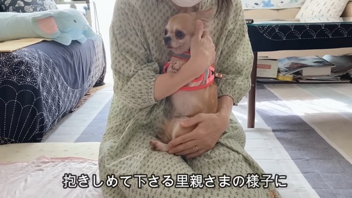 初めて「飼い犬」になったおもちちゃん