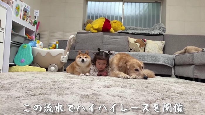 まさかのハイハイレース開幕
