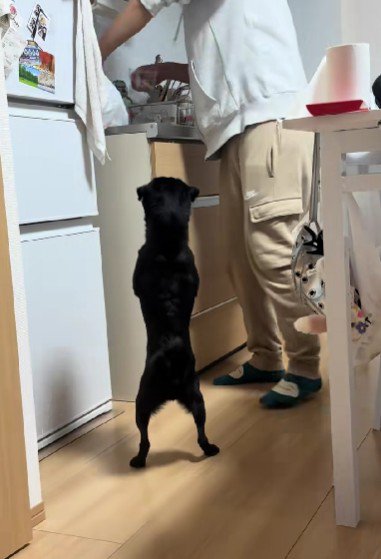 前世はモデル！？