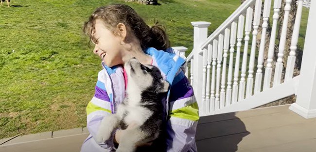 少女と子犬