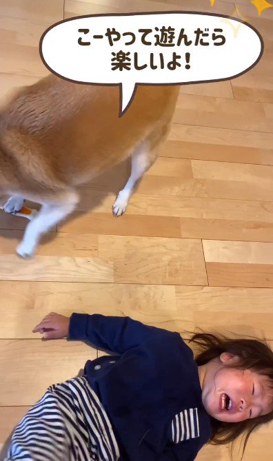 遊び方をレクチャー