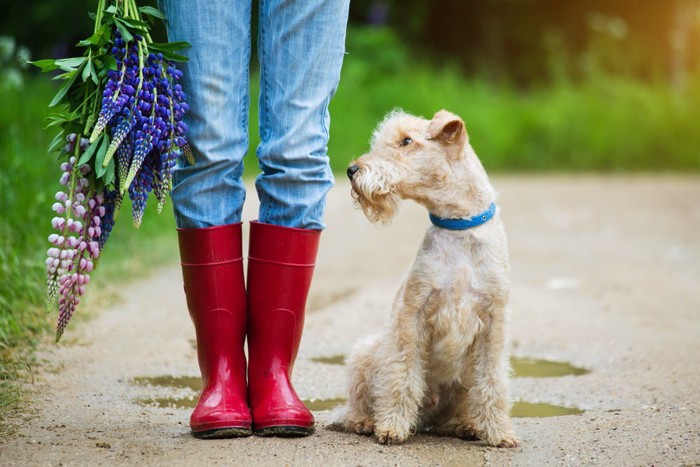 飼い主と並んでいる犬