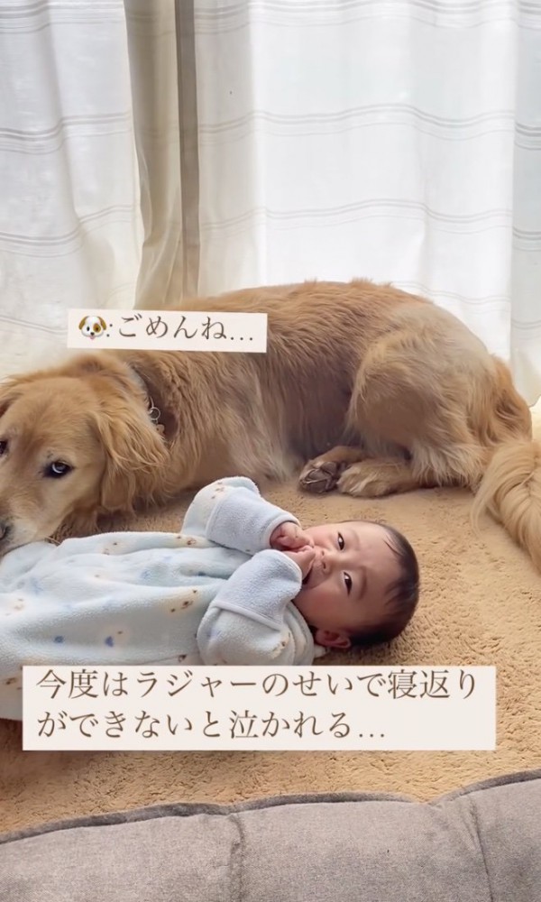 育児は厳しい