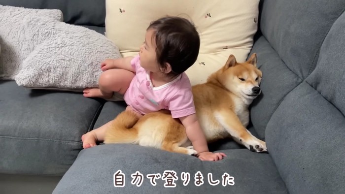 登れた！