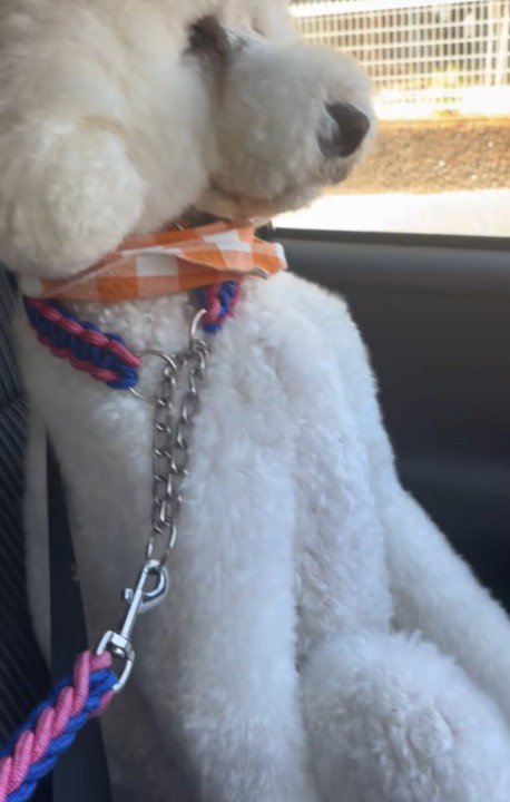 立ち膝にビックリ！！