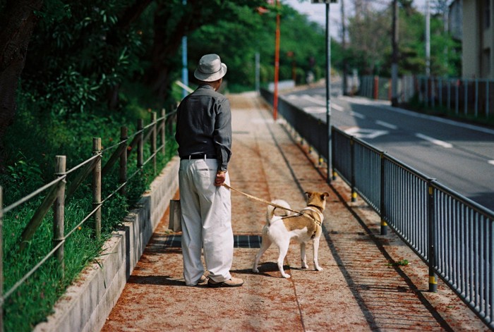 労使と老犬