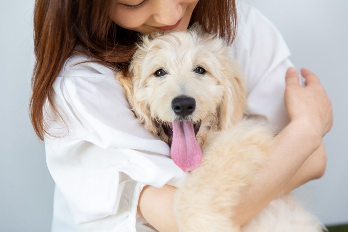 女性に抱きしめられている犬