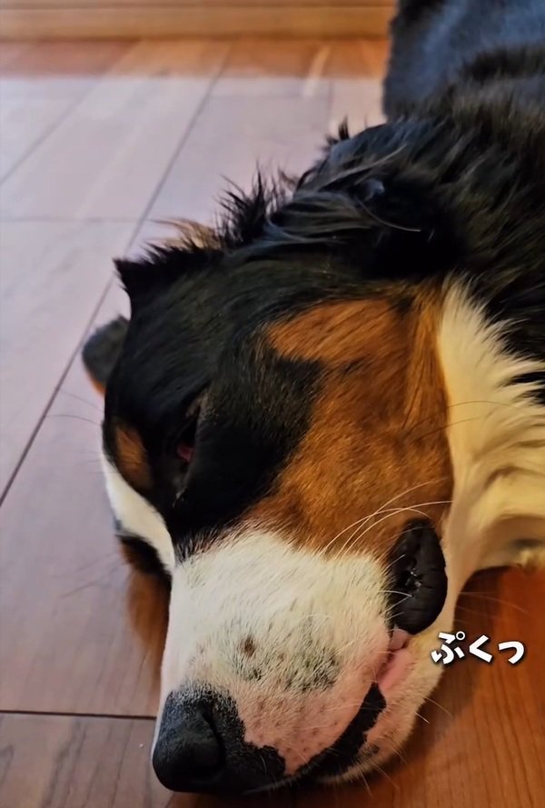 痙攣する都ちゃん