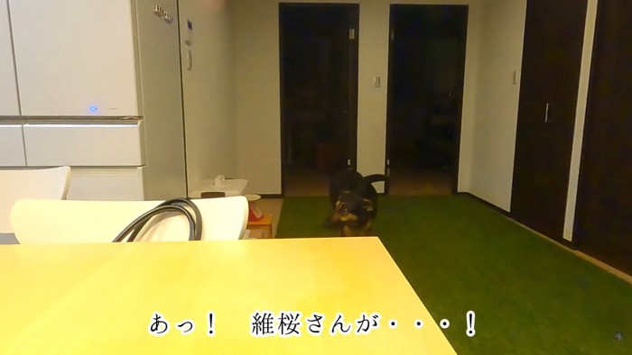 バレてしまいました!