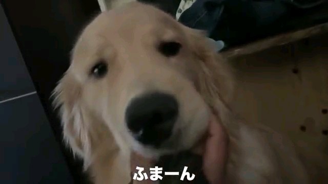 ふまーん～字幕