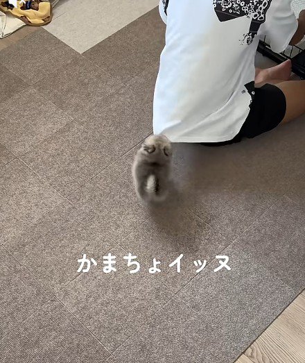 思わず悶絶してしまう♡