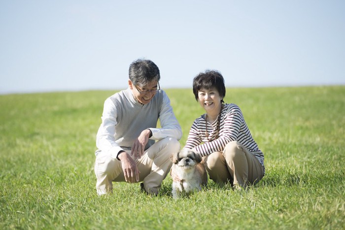 芝生で犬を可愛がっている夫婦