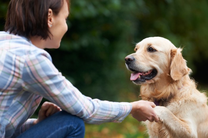 人と犬