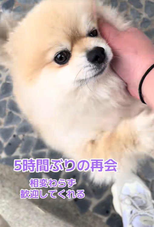 二本足で立ち上がって…