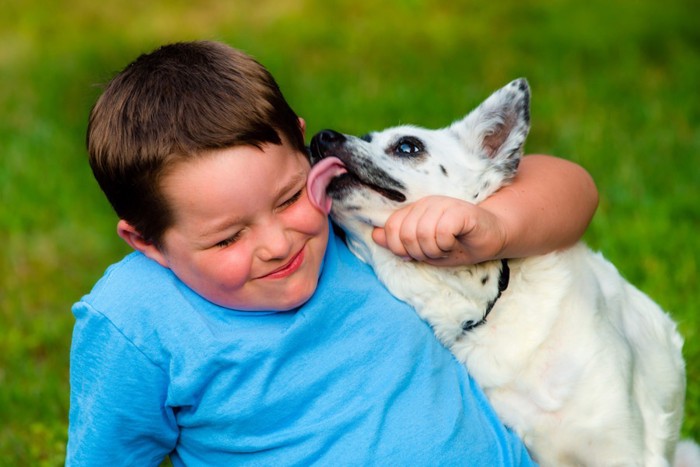 笑顔の少年の顔を舐める犬