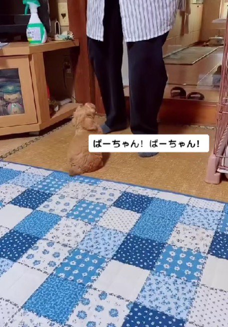 おばあちゃんが大好きに!