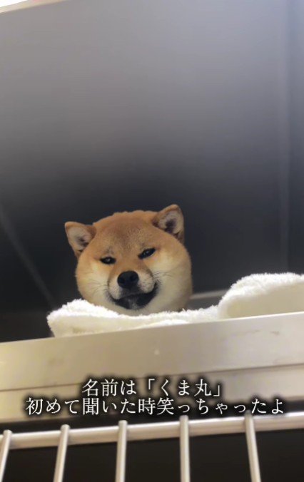 そう考えていたけれど…