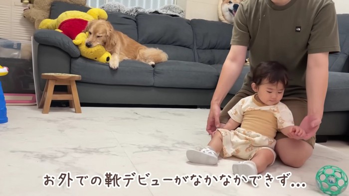 現在歩行練習中！
