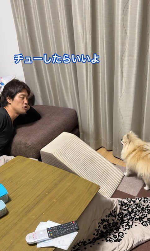 ボールを取ってもらいたいクララちゃん6