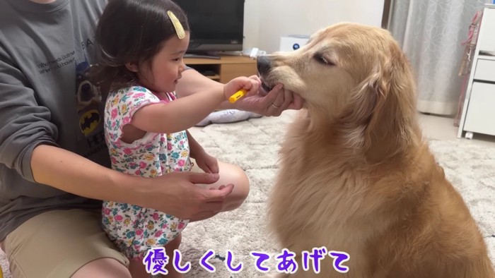 上手に磨けたね