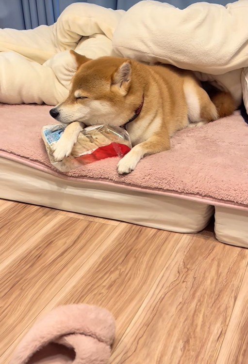 ポポちゃんとの思い出2