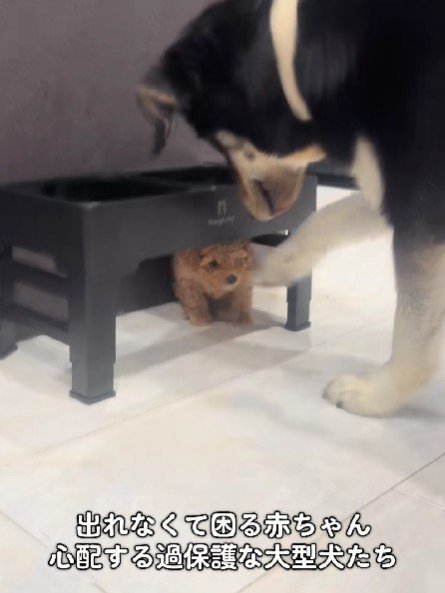 「今助けてあげるね!!」