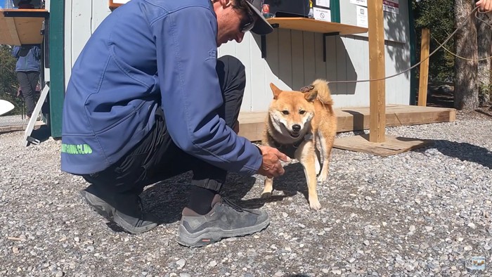 ナラちゃんと店員さん