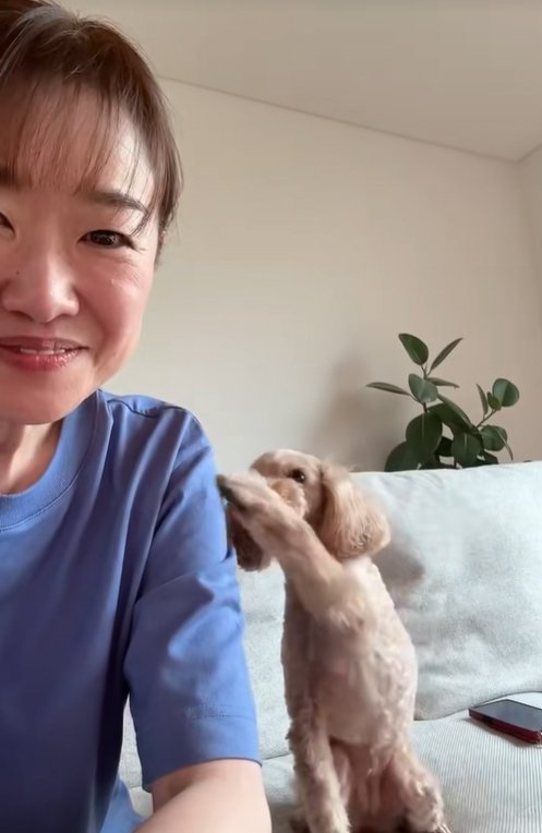 飼い主をつつく小型犬