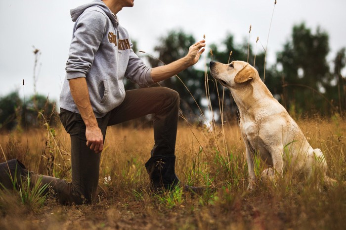 膝ついて合図を送る人とおすわりをする犬