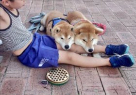 微笑ましい