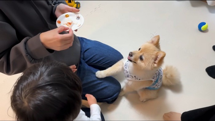 梨を持った人の足に前足を乗せる犬