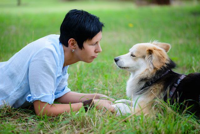 見つめ合う飼い主と犬