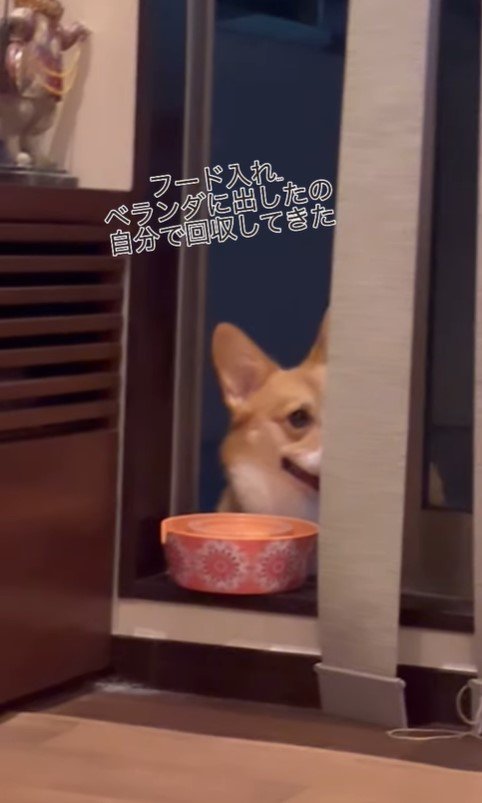 食器を回収するかのんちゃん5