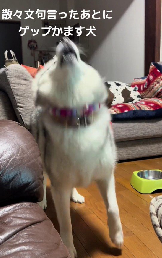 「ママのいじわる！！」