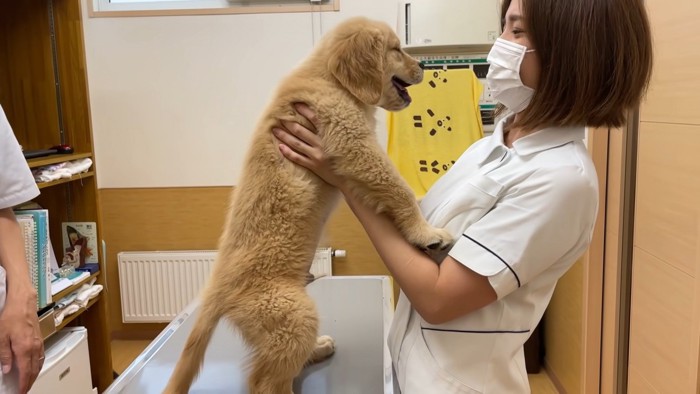 看護師さんに甘えるるこる君2