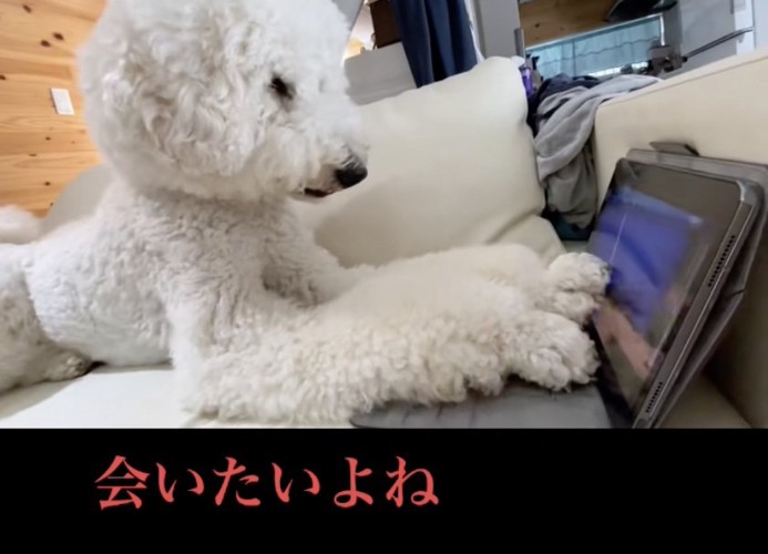 大好きなお姉ちゃん…