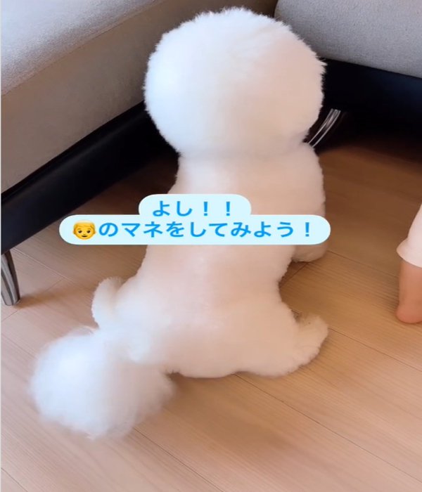 後ろ姿の犬