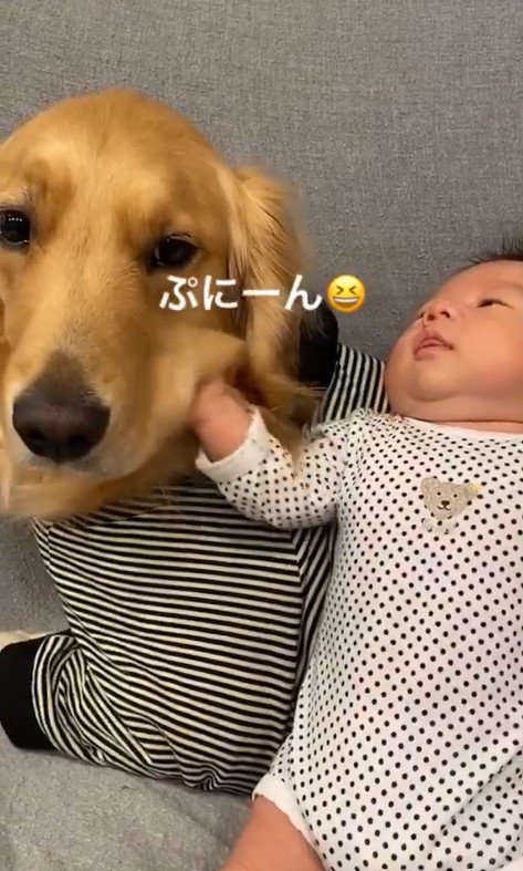 くららちゃんと赤ちゃん7