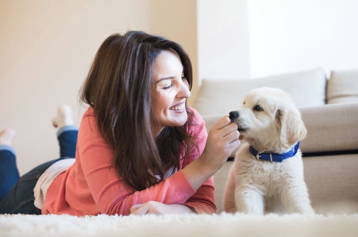 女性と犬