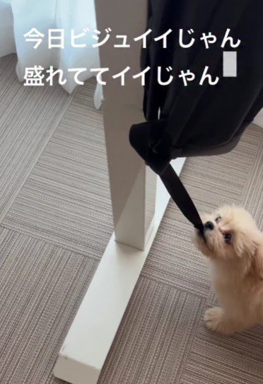 イタズラしてしまうことも