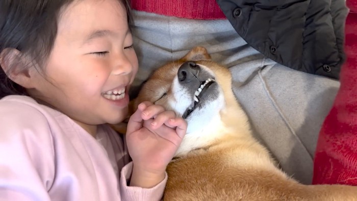 ウトウト…